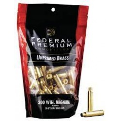 FEDERAL BRASS 300