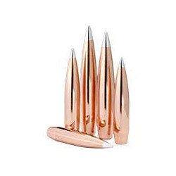 HORNADY BULLET 22 .224/55...