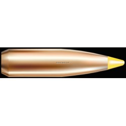 NOSLER BULLET 270CAL 150 GR BT