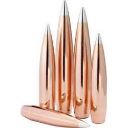 HORNADY BULLET 358-250 SP