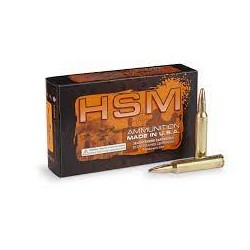 HSM AMMO 308 NORMA/185