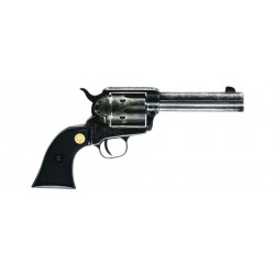 CHIAPPA 1873 22