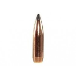 SPEER BULLET 257-120GR SP