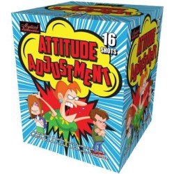 FIREWORK ATTITUDE ADJUSTMENT